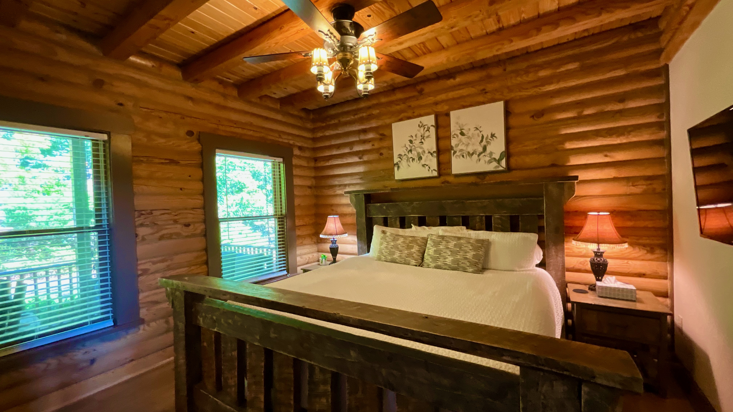 Main Level Bedroom (King Bed) with Private Bath