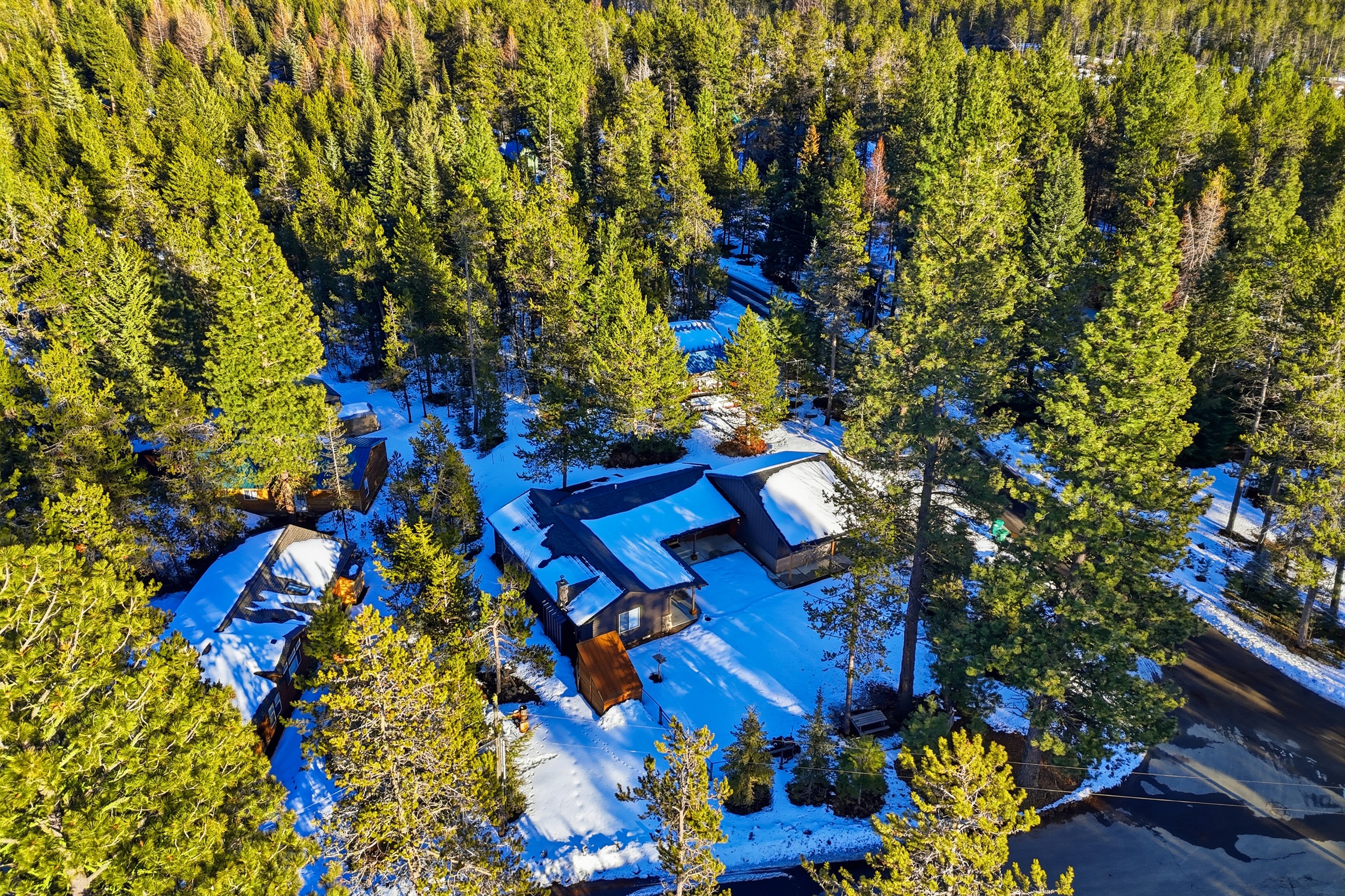 Modern luxury meets peaceful mountain woods.