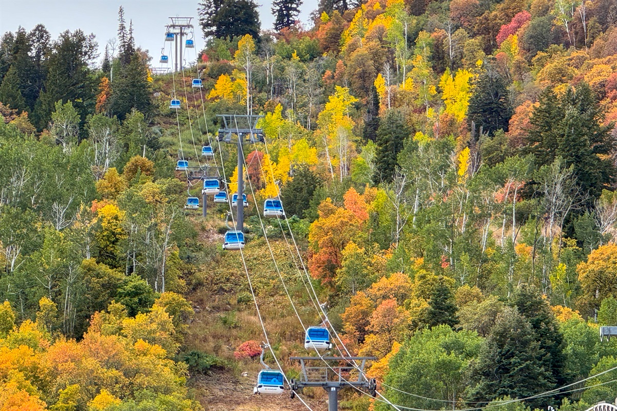 Gondolas and Fall Scenery at Snowbasin