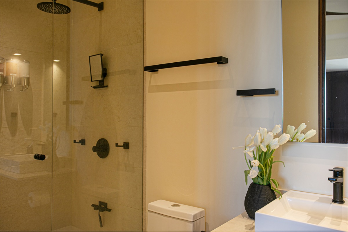 Ensuite bathroom in the main bedroom.