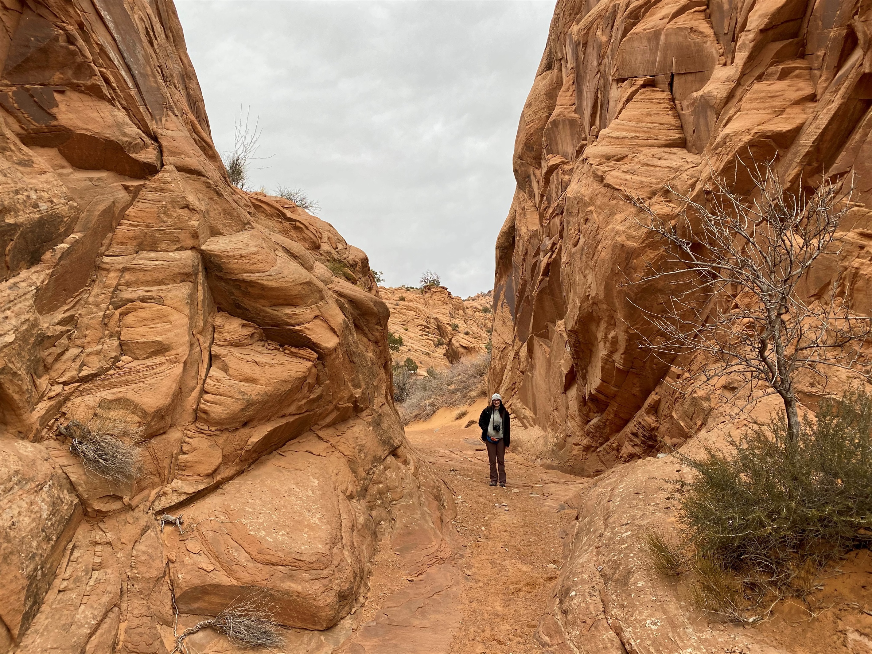 Hiking from House