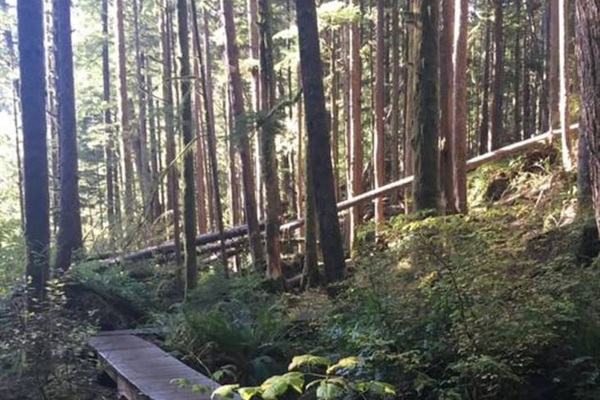 More pathways in Avatar Grove