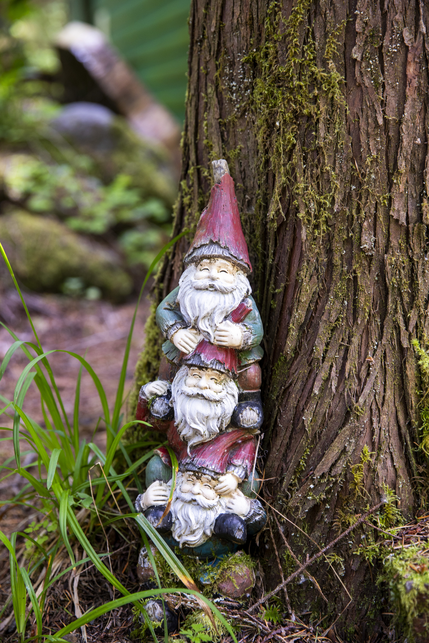 Gnomies!!