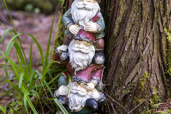 Gnomies!!