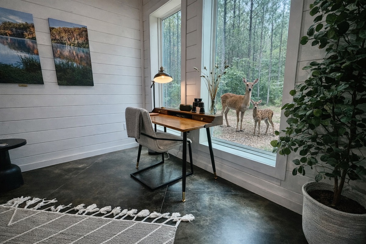 ~If work calls...your desk awaits and if you're lucky catch some wildlife passing by ~