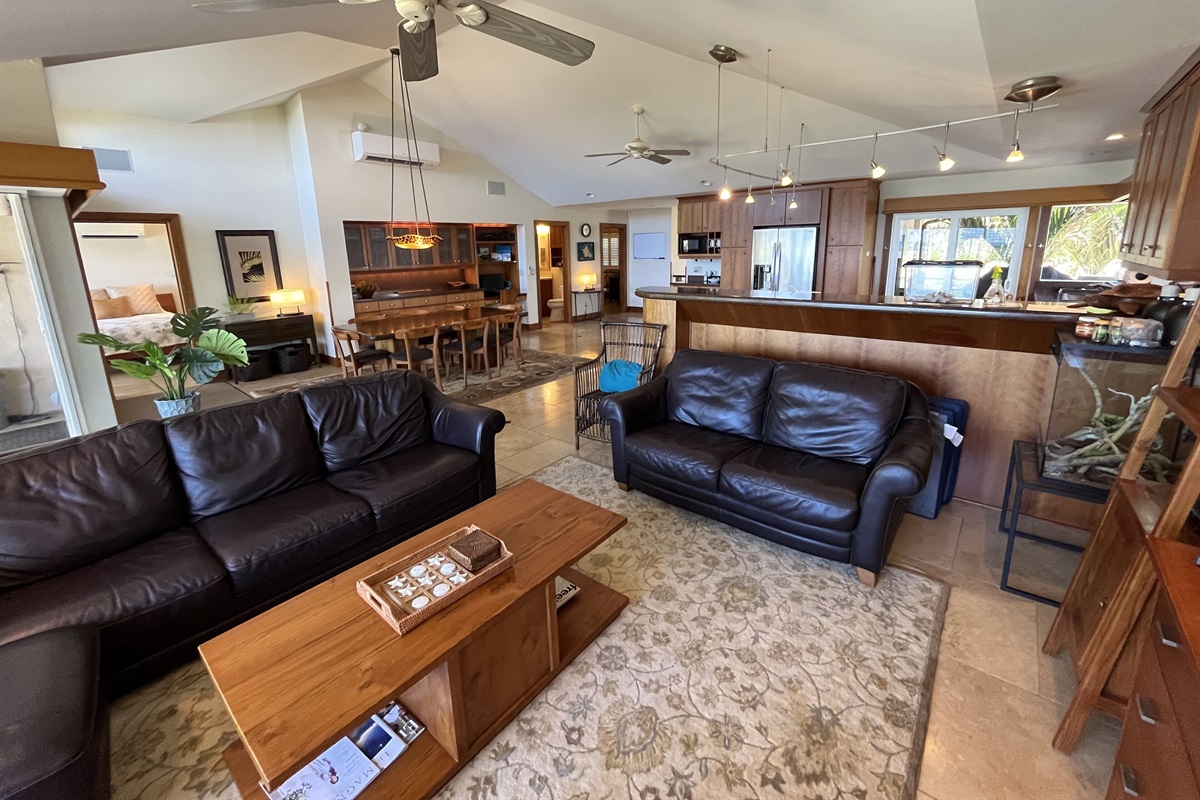Living room with a new 65" flatscreen TV.