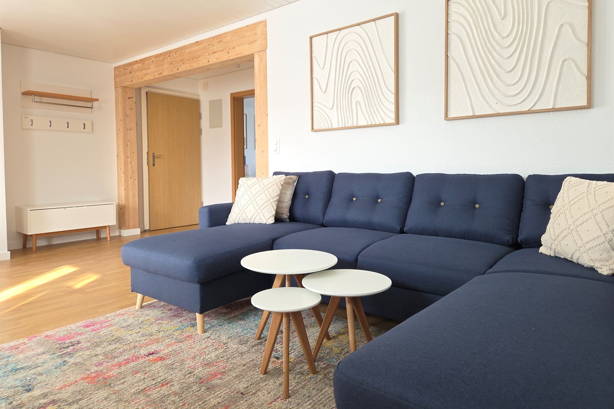 Living room with large couch / sofa bed