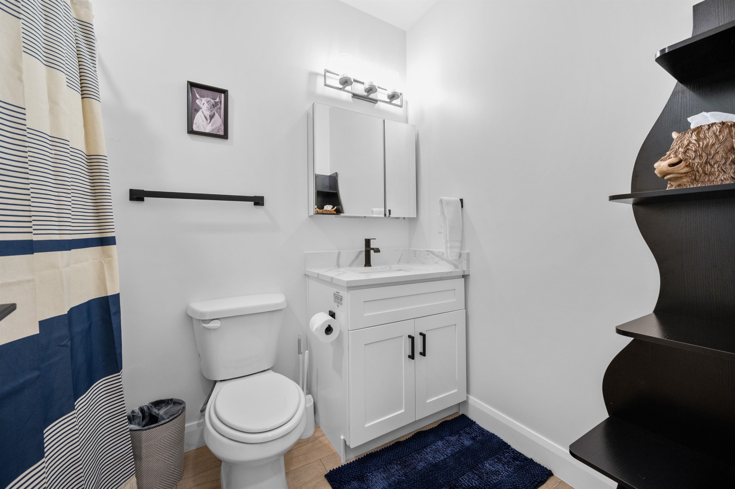 Ensuite bathroom for the downstairs suite with modern design.