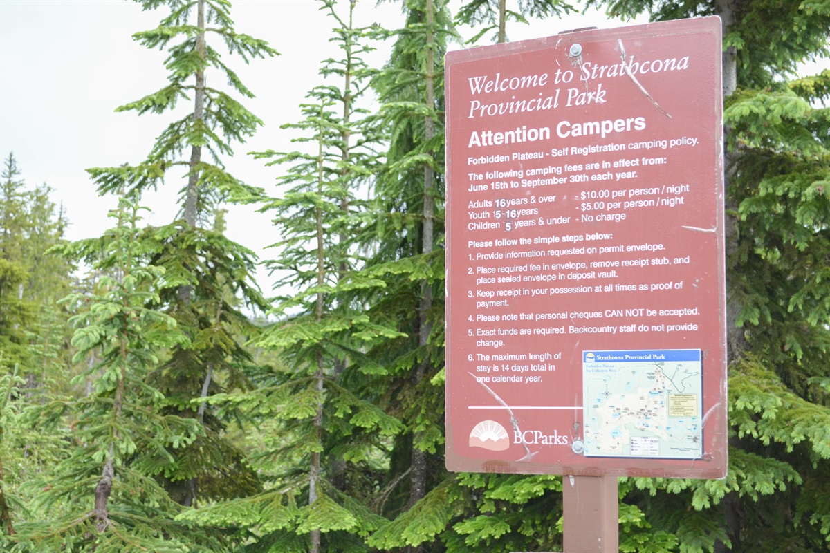 World Class Hiking at Strathcona Park - 1min drive/15min walk