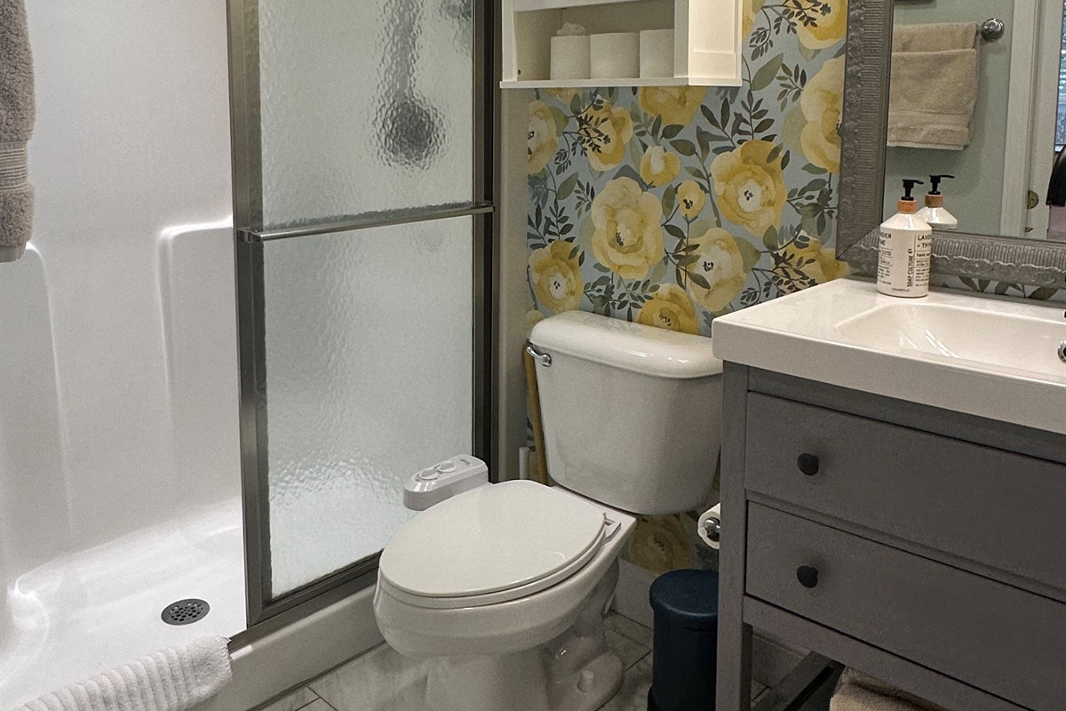 Updated bathroom with bidet attachment and shower seat