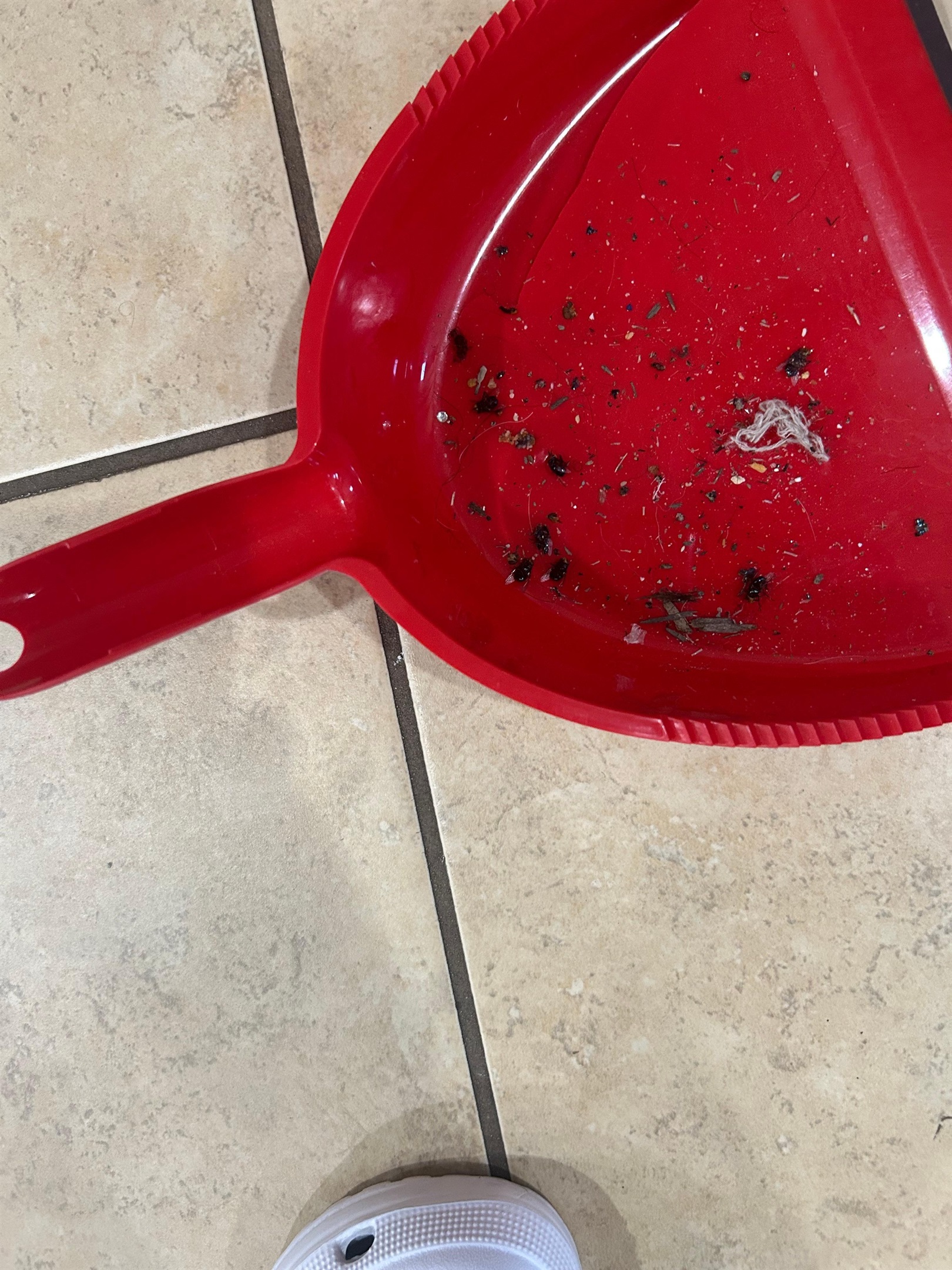 Felicia G., Sep 21, 2025