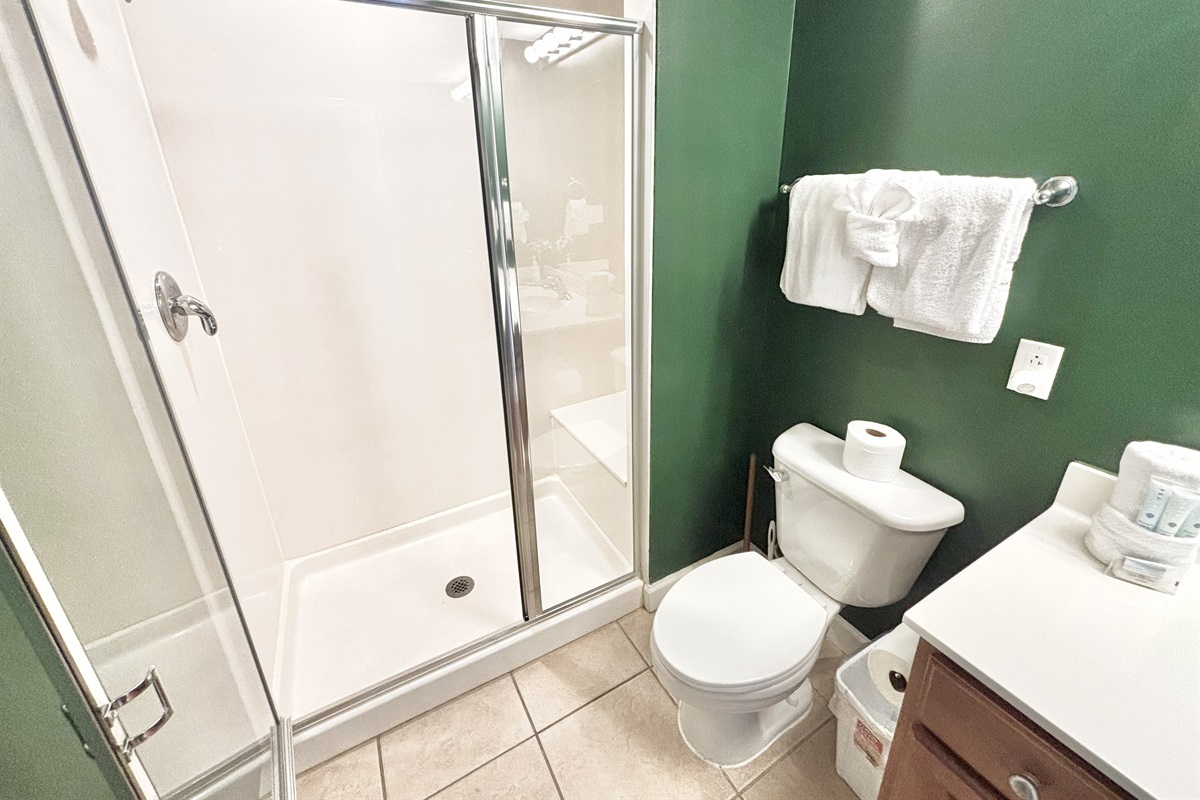 Walk-in shower in hallway bathroom