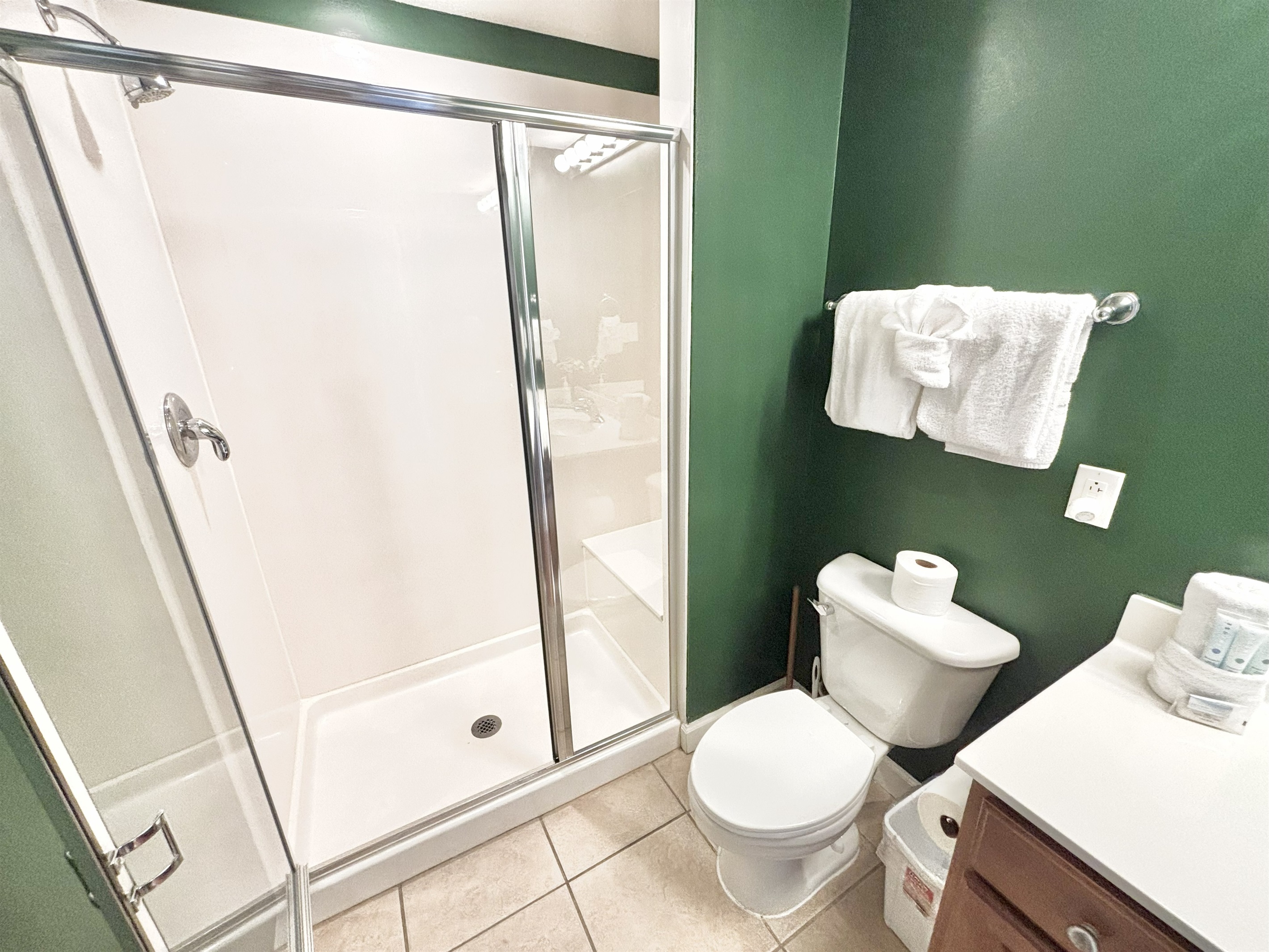 Walk-in shower in hallway bathroom