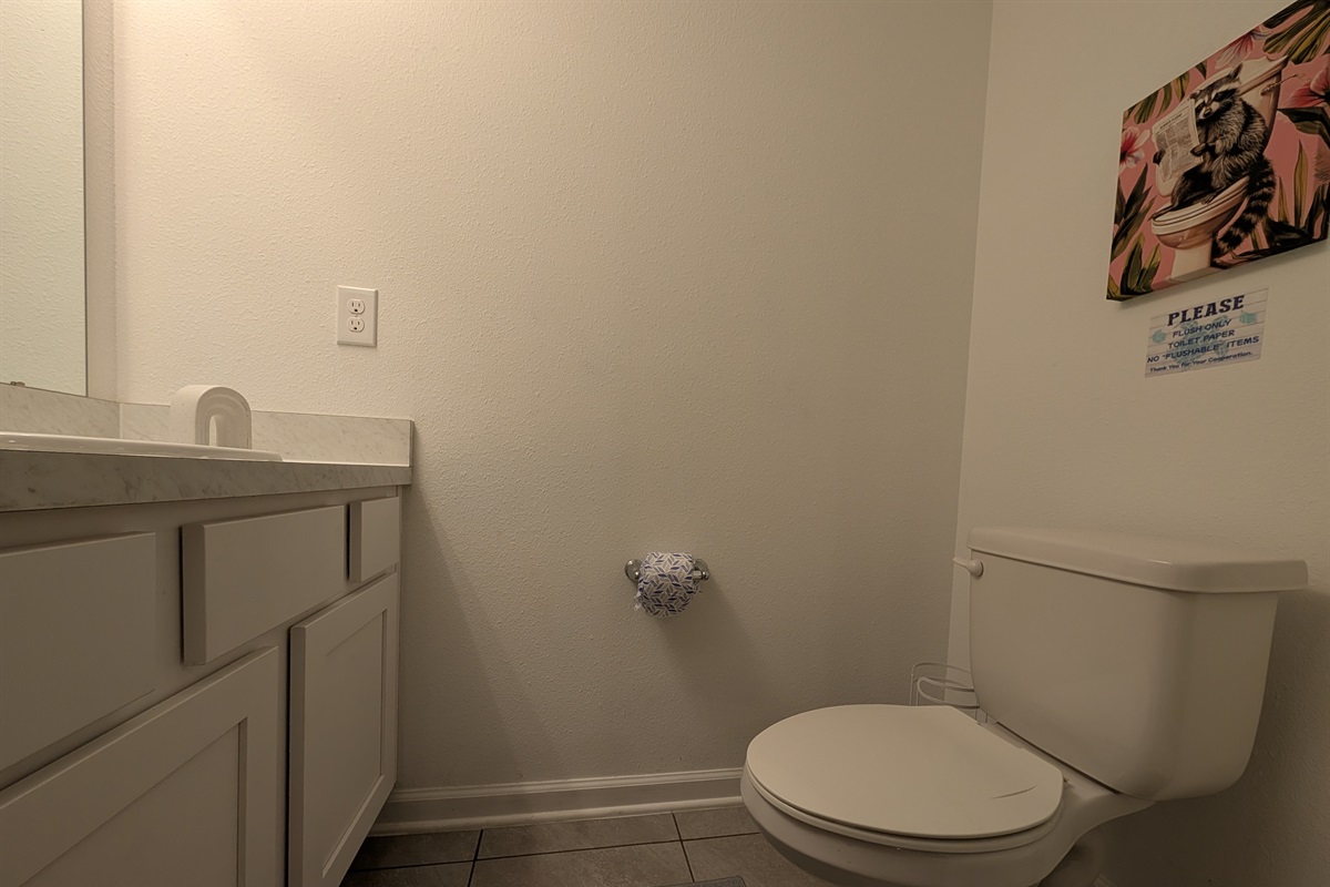 Downstairs half bathroom