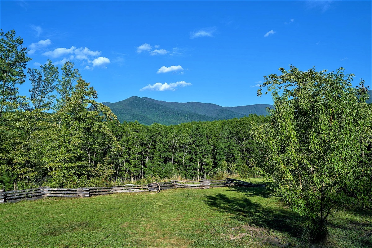 Gorgeous mountain views stretch for miles from the cabin, offering a peaceful and scenic backdrop.