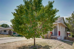 Home, where the heart (and the peaches) are! Our front yard boasts a touch of nature's sweetness with a peach tree, creating a warm and inviting welcome to your haven. 🍑🏡 #PeachyWelcome #HomeSweetHome