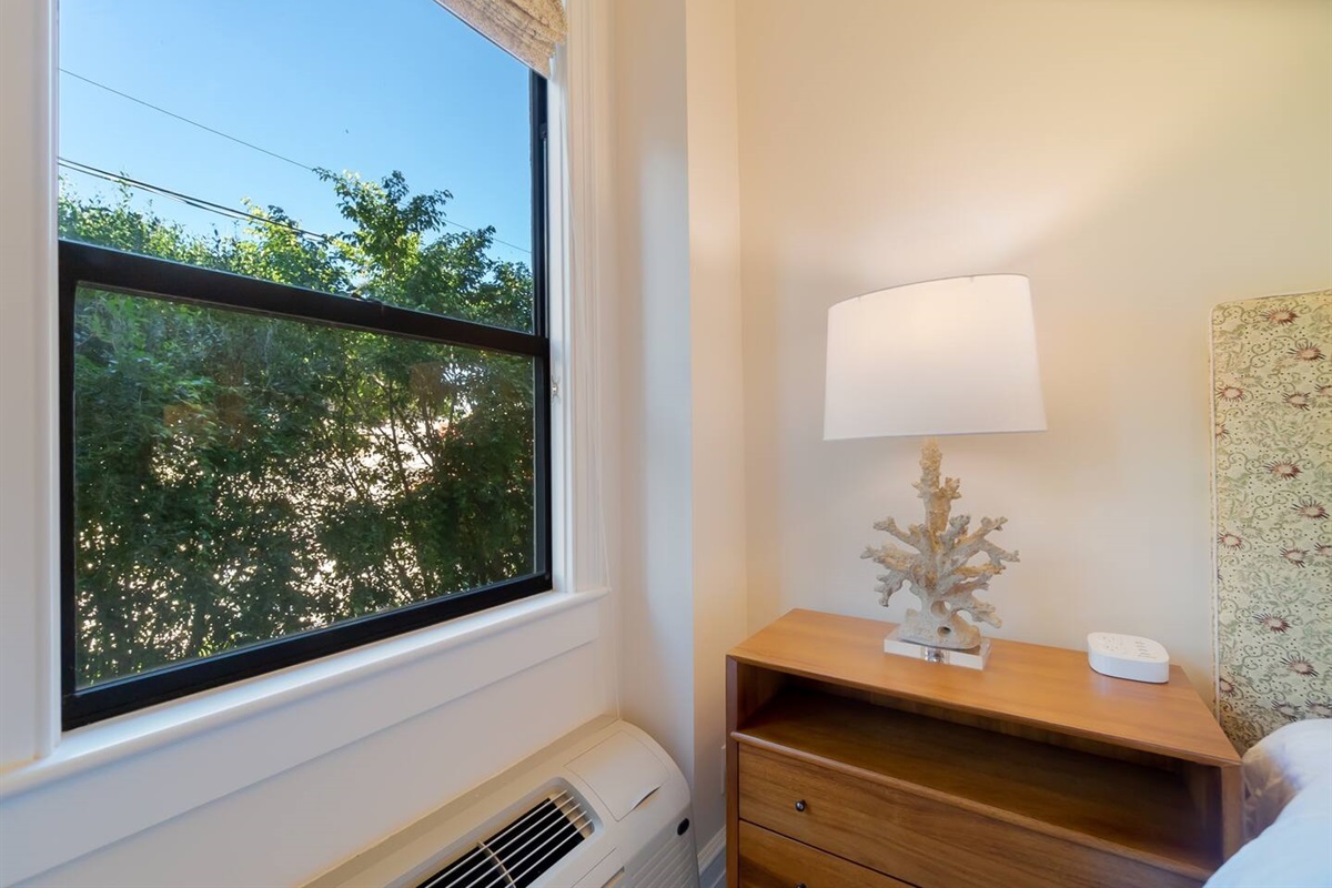 View of the sun and greenery outside.