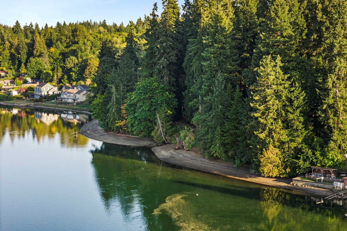 A breathtaking aerial view of Walker Park’s shoreline and lush forest, showcasing nature’s perfect harmony