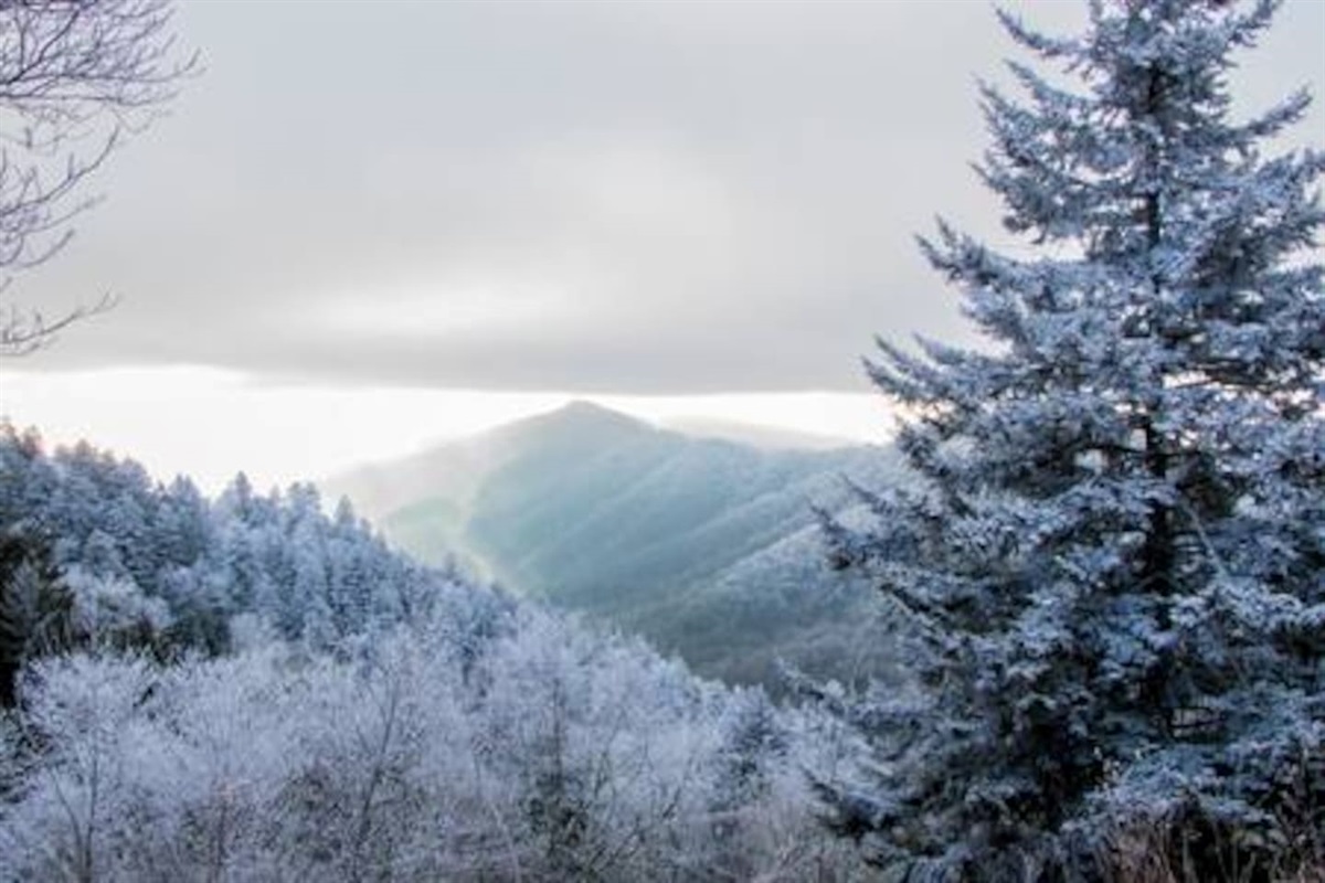 So many seasons to come visit us. Winter is a wonderland!