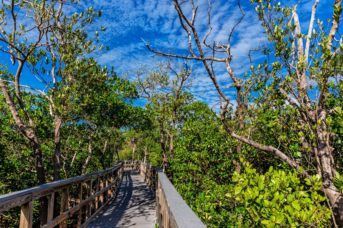 Nature Preserve walk nearby