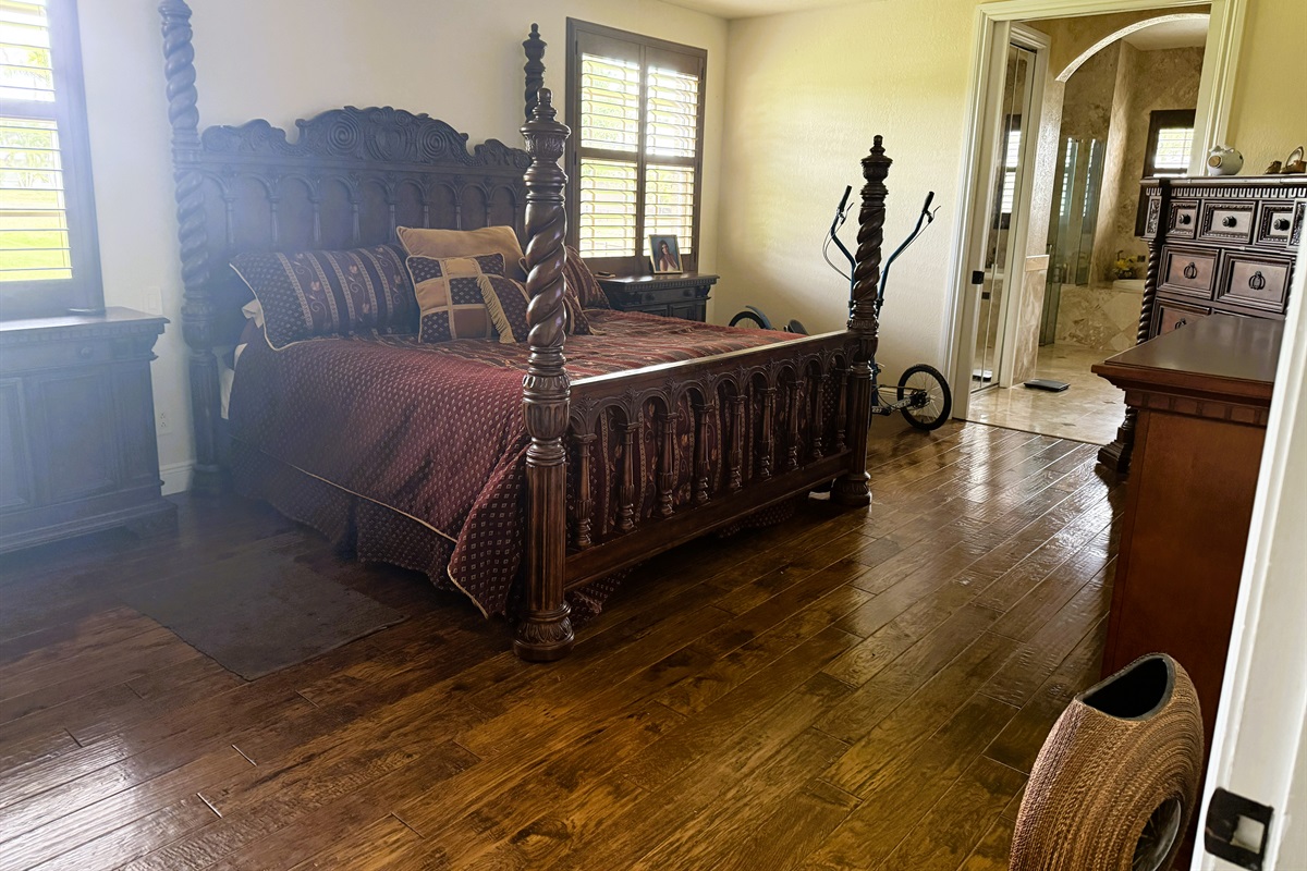 Downstairs Master Bedroom