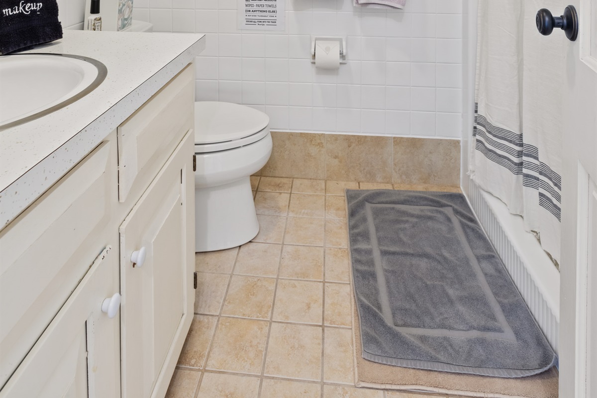 Downstairs bathroom with shower