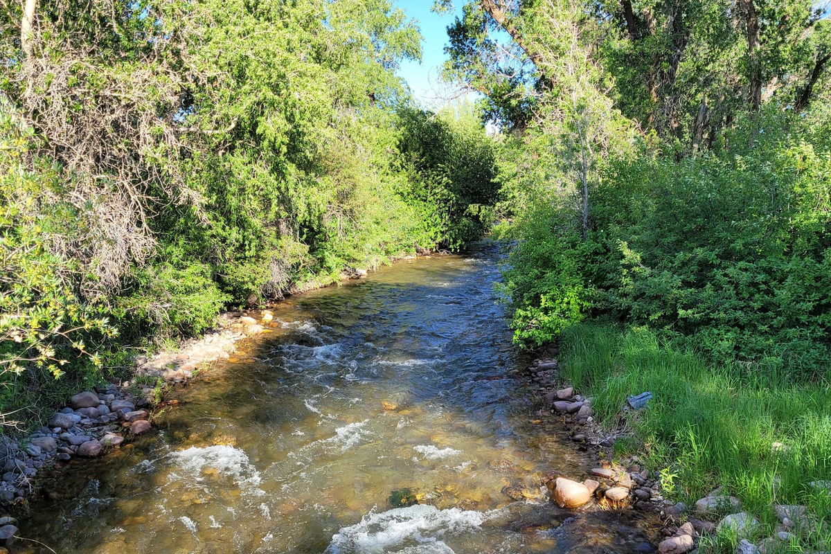 Trail Creek runs right behind the property.