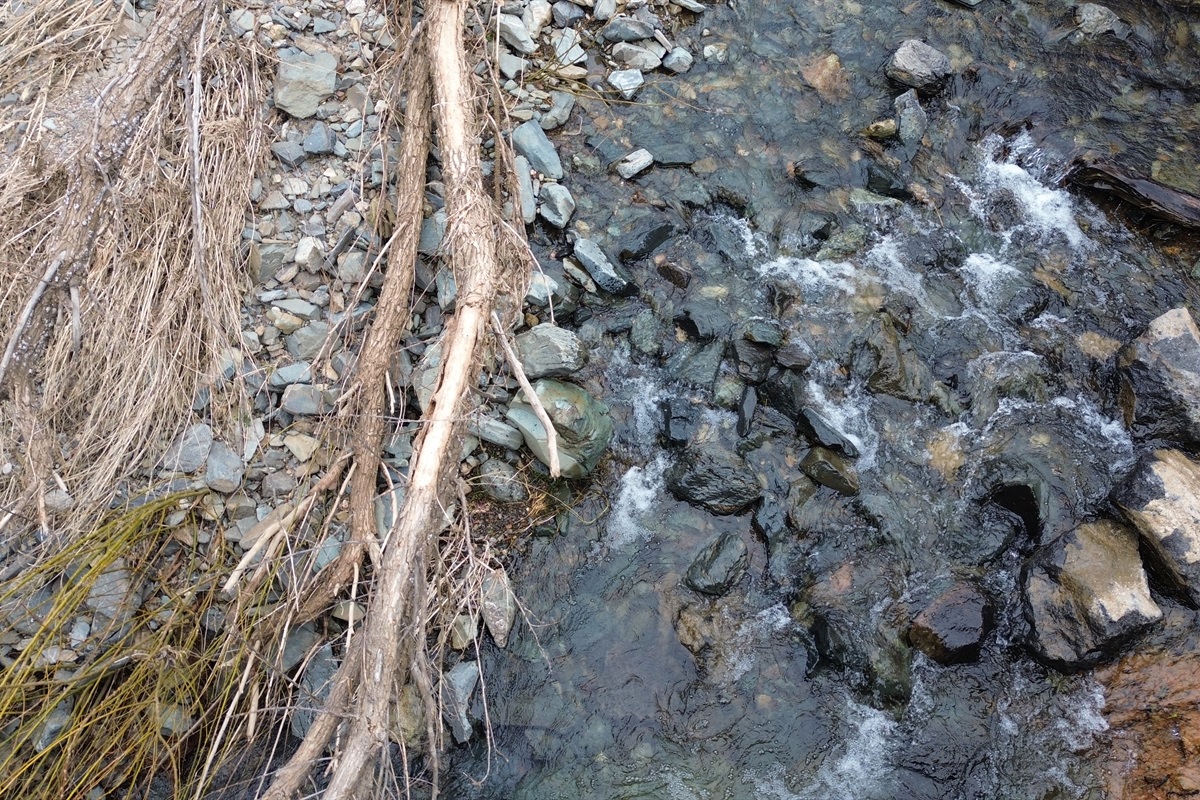 Creek#1: walkable distance from the property, seasonal