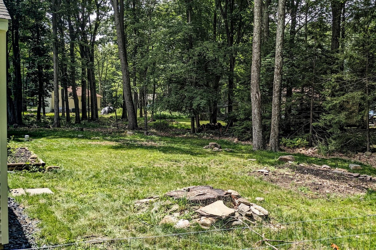 Enjoy deer sightings in our large grassy backyard