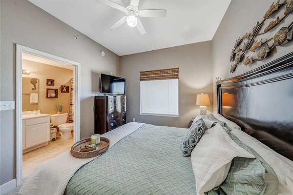 Main Bedroom with attached bathroom