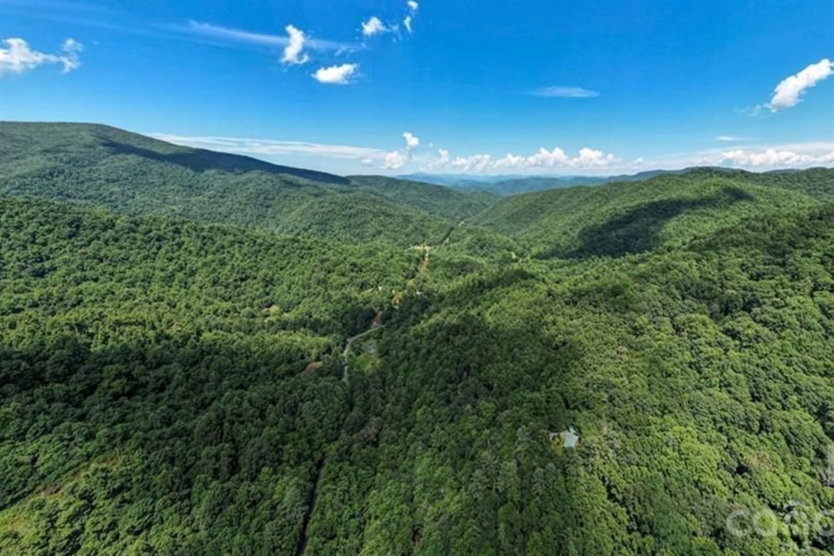 Aerial view of the cabin and surrounding wilderness