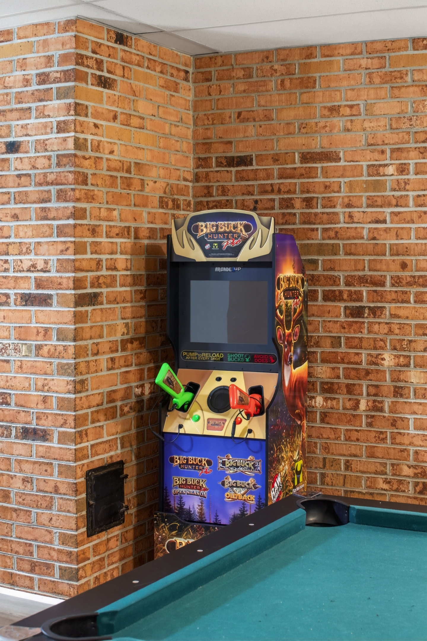 Game Room: Unleash your competitive spirit with classic arcade fun and pool table challenges!