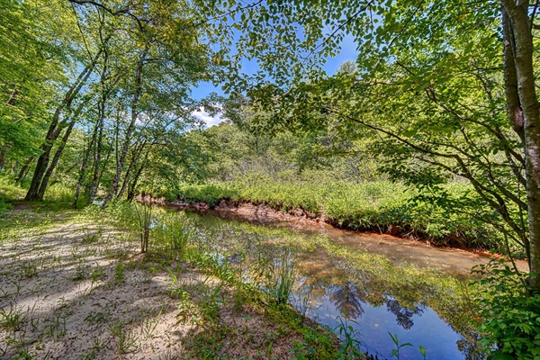 Let the kids stomp around in Sugar Creek
