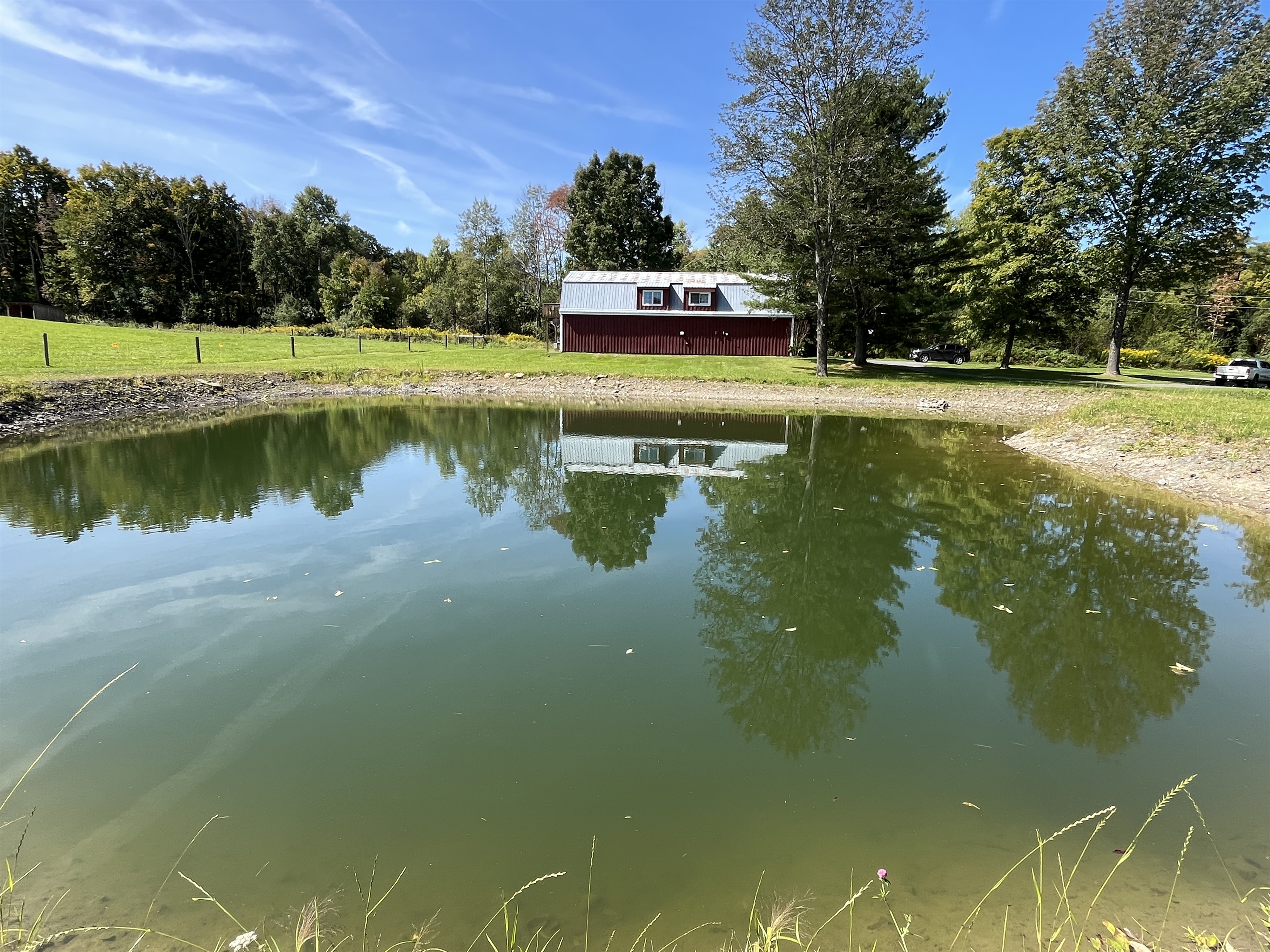 Shared pond at Breezy Acres