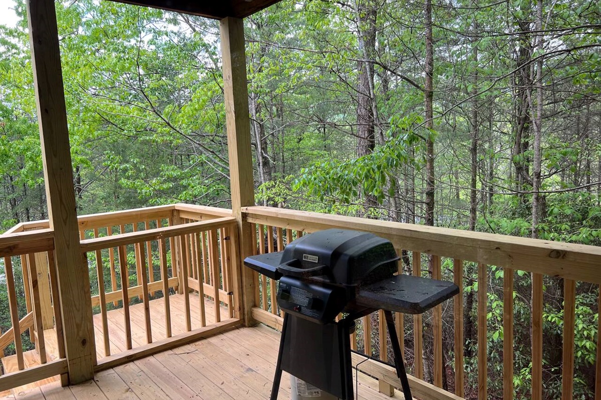 Fire up the Grill-BBQ & Enjoy Outdoor Cooking!