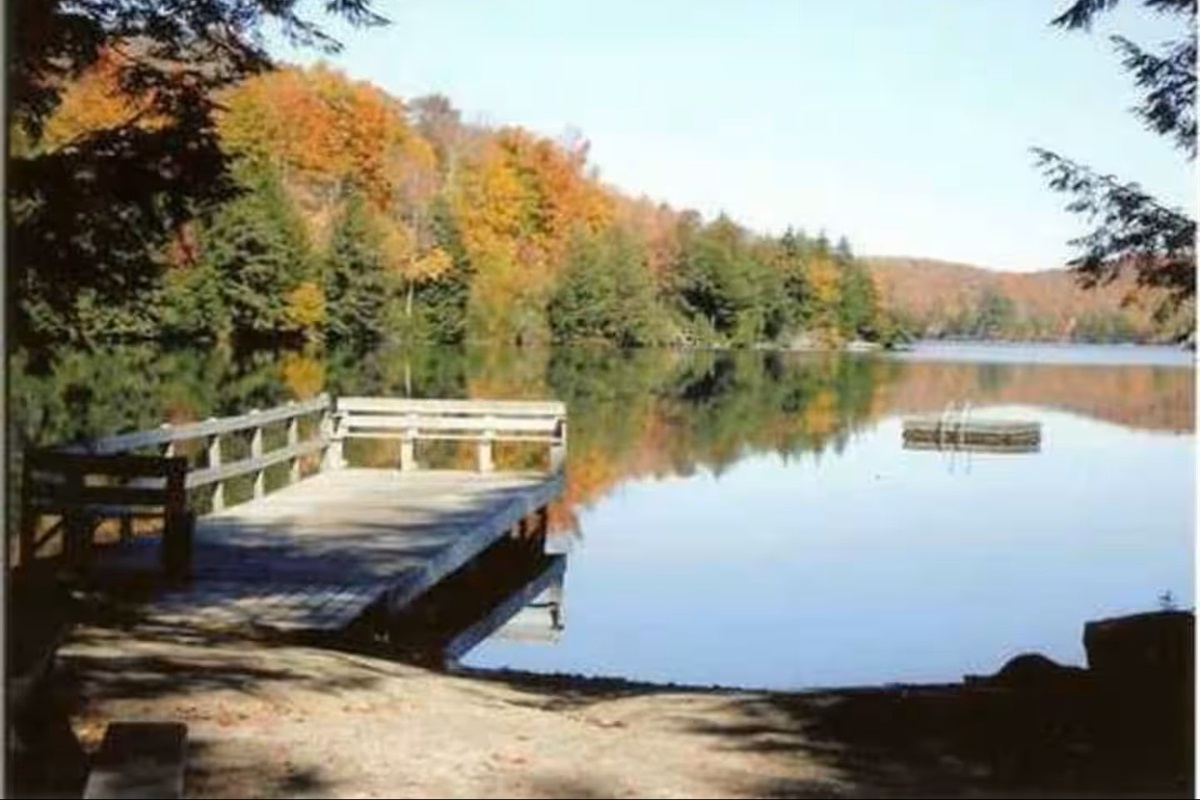The cabin is walking distance to Lake Raponda: a beautiful local gem great for swimming, fishing, boating and kayaking.