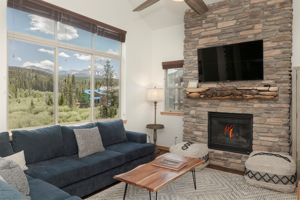 main area with views