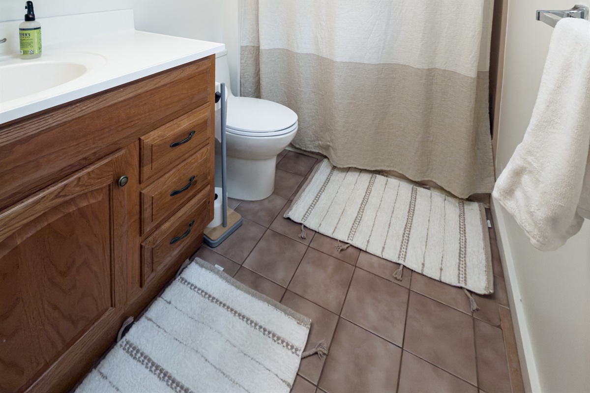 Lower level full bathroom