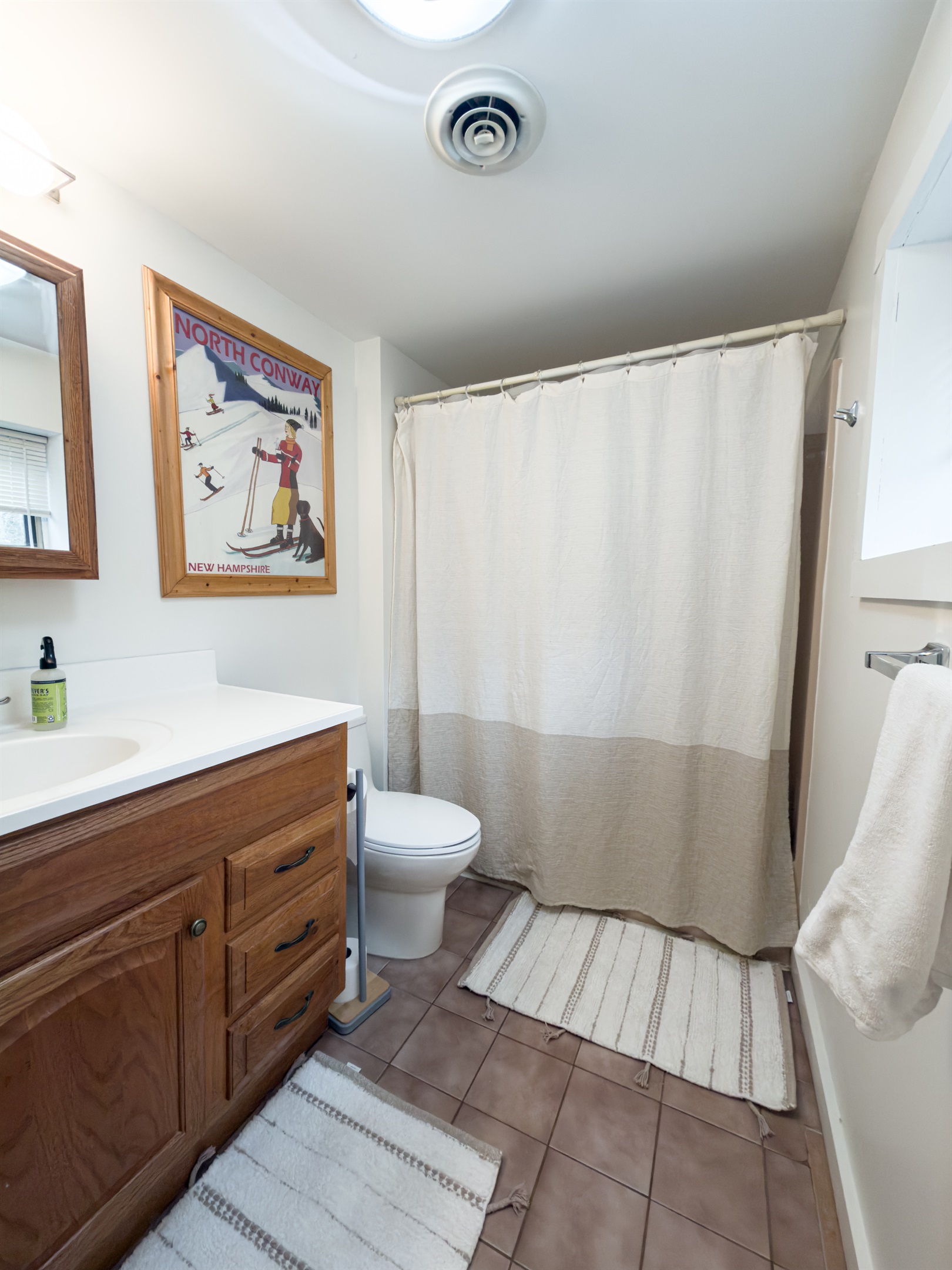 Lower level full bathroom