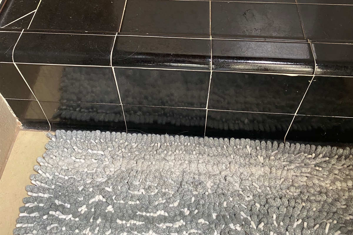 Step over this down into the tub/shower