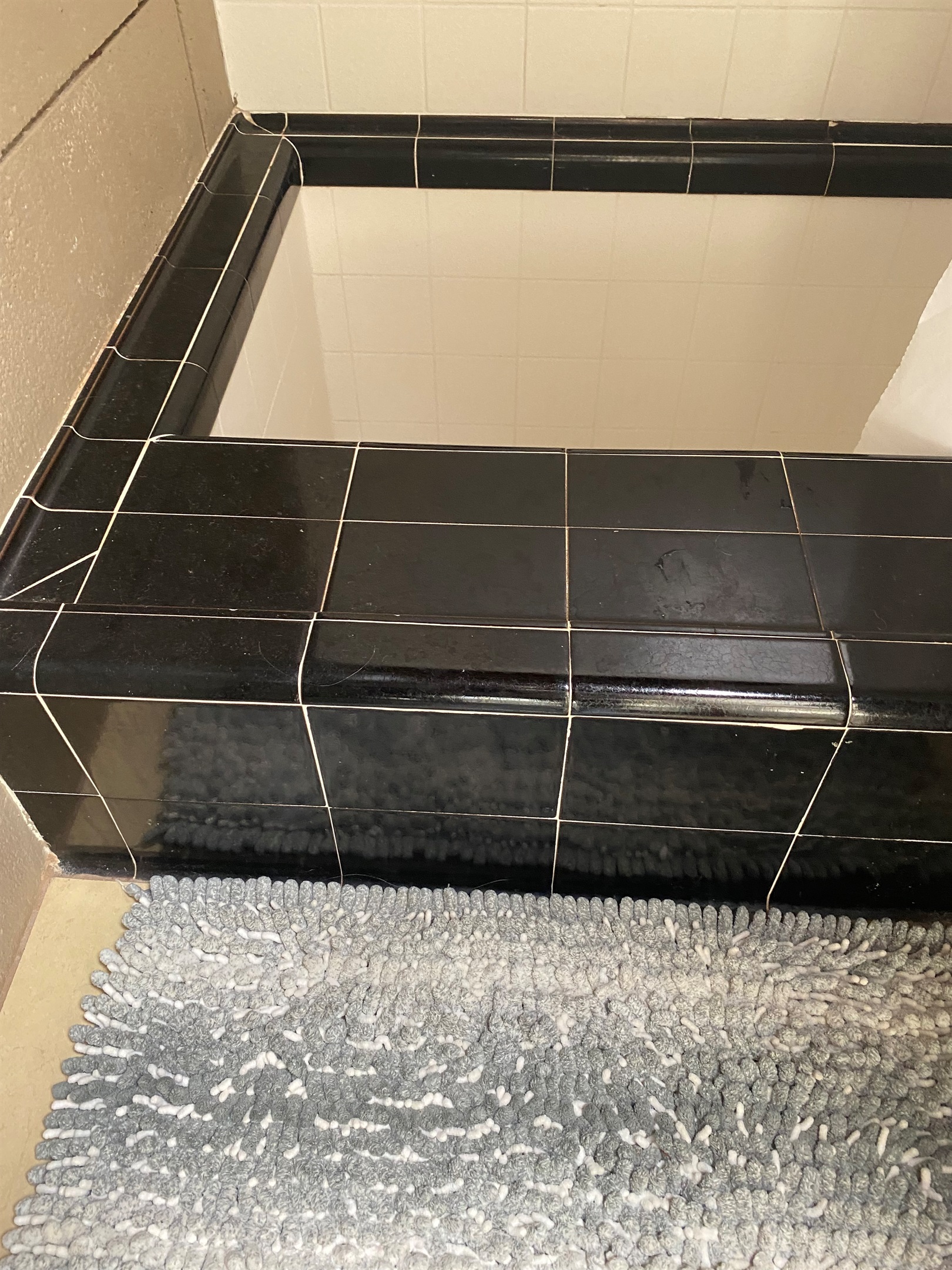 Step over this down into the tub/shower
