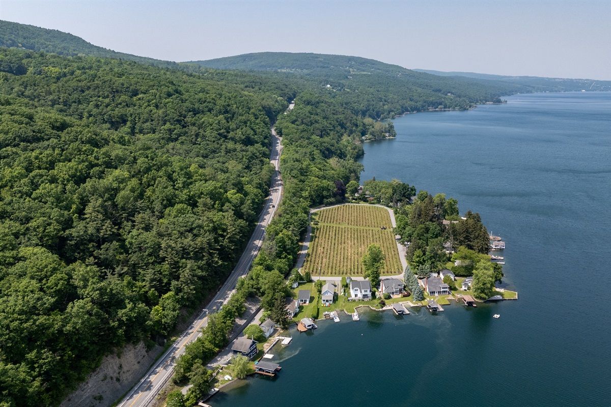 A stunning aerial view of lakeside living meets vineyard charm—private docks, waterfront homes, and lush grape rows create the perfect Finger Lakes retreat.