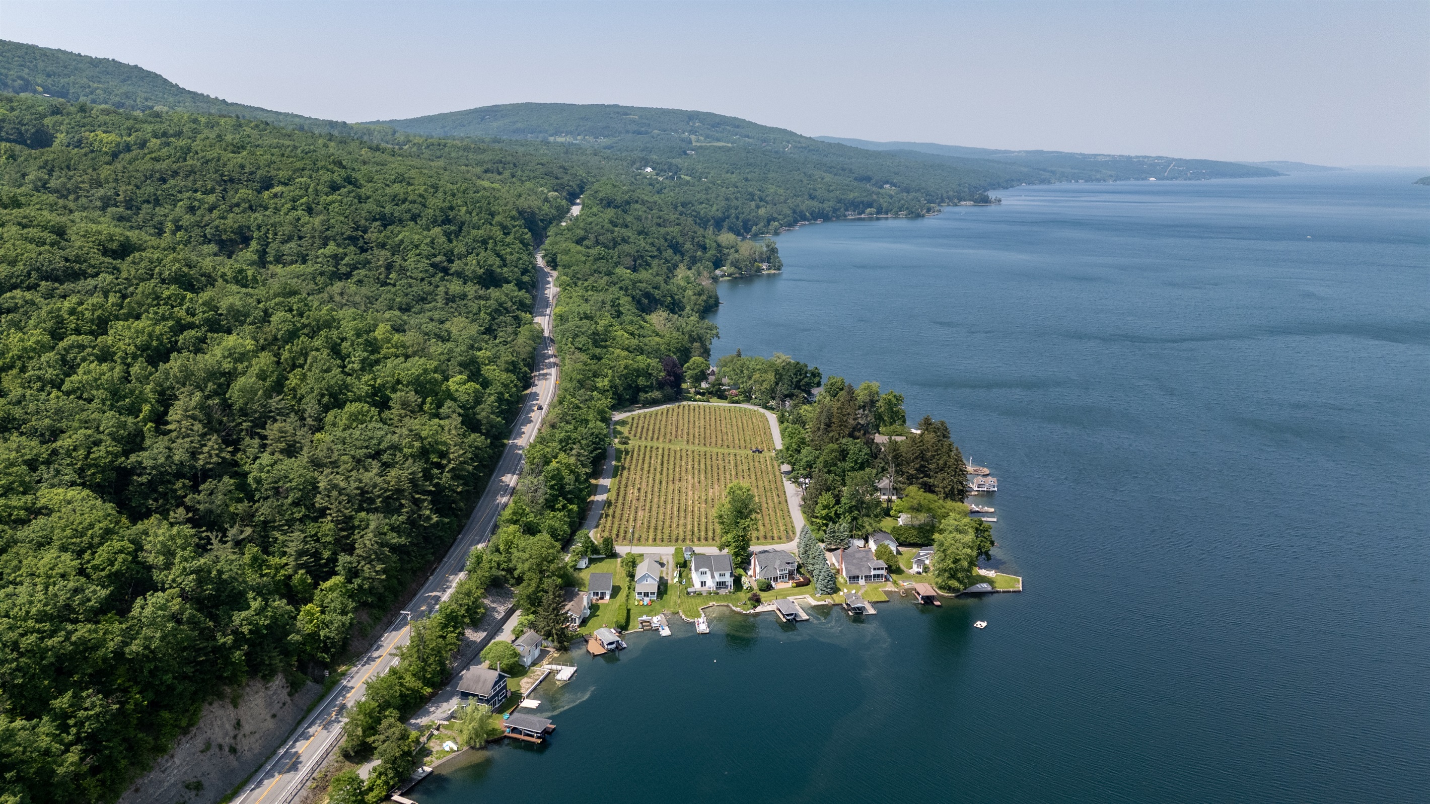 A stunning aerial view of lakeside living meets vineyard charm—private docks, waterfront homes, and lush grape rows create the perfect Finger Lakes retreat.