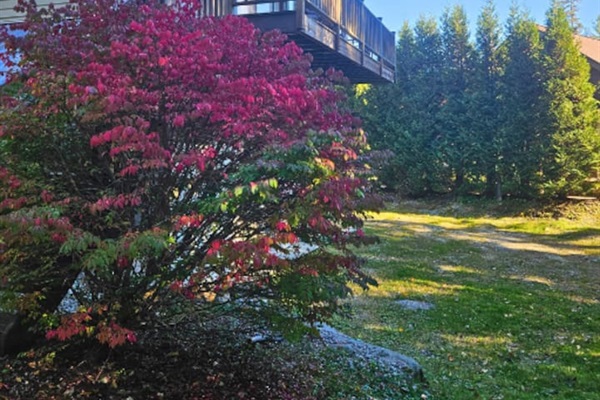 Enjoy the beautiful views from both decks on the second home! 