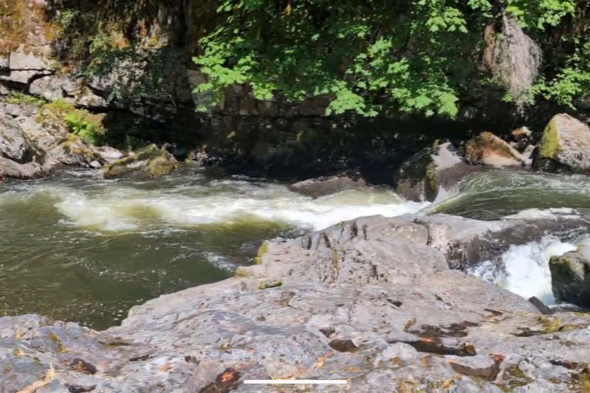 The "Fish Drop" - This gorgeous spot on the river is a 5 minute walk up the road from the Airbnb. Great swimming holes, a sandy beach and places to jump. Great fishing!!