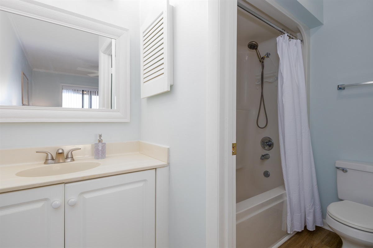 Master bathroom view