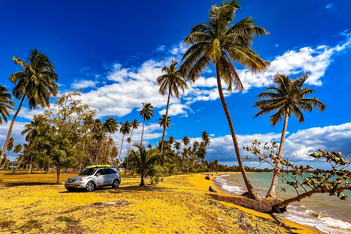 Outdoor Oasis: Discover your slice of paradise among swaying palms and golden sands!