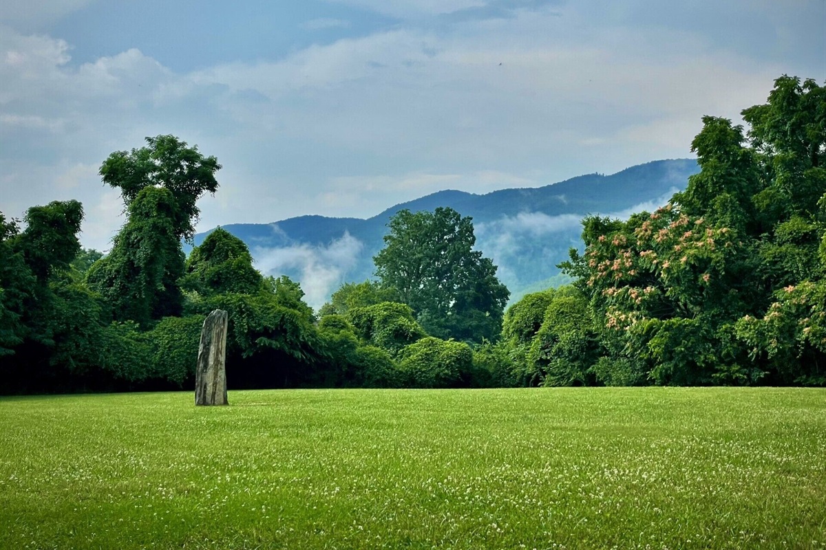 Front yard with mountain views early summer