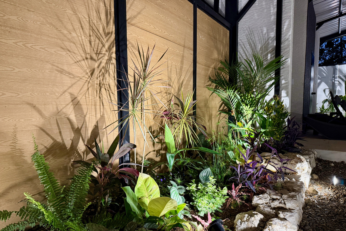 The garden after dark.