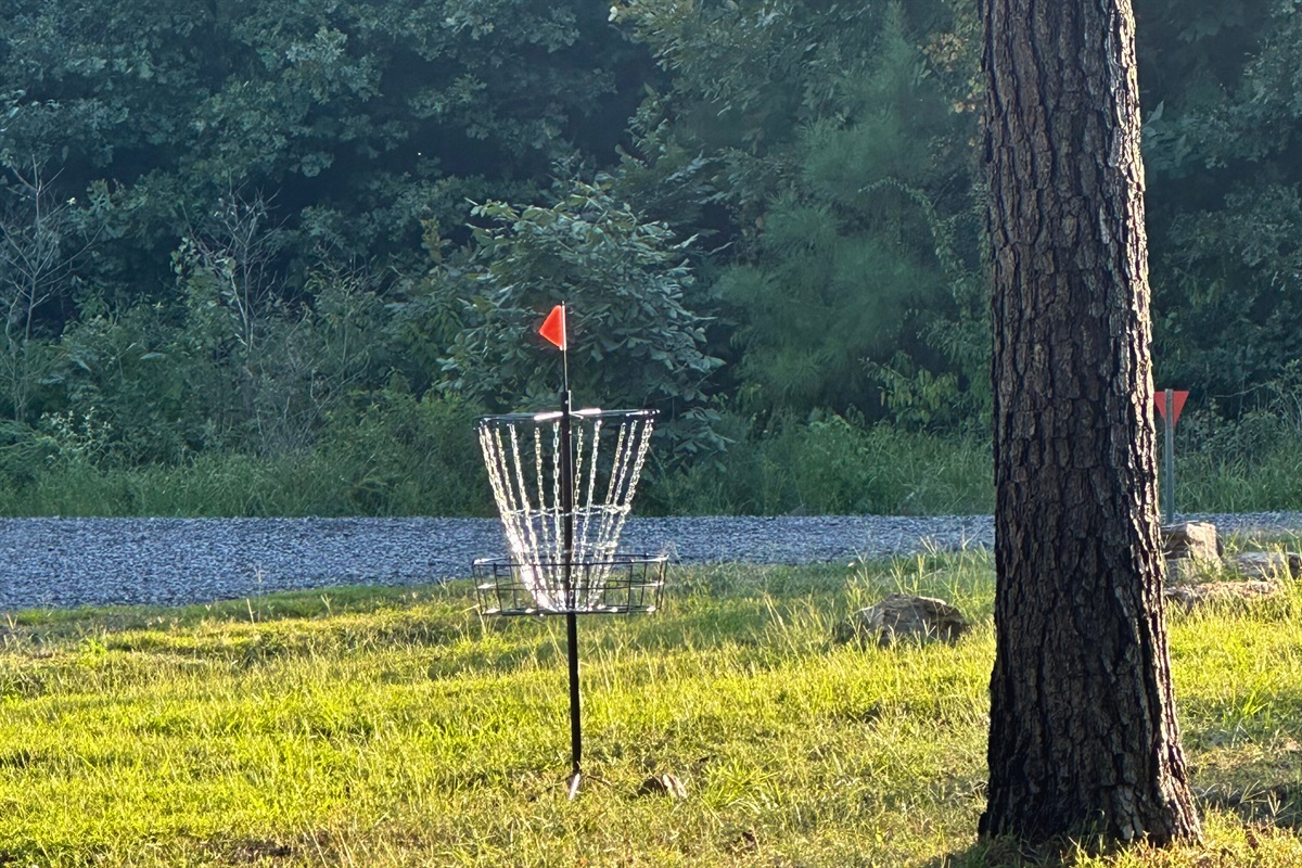 Scenic disc golf basket nestled in nature – fun right outside your door.